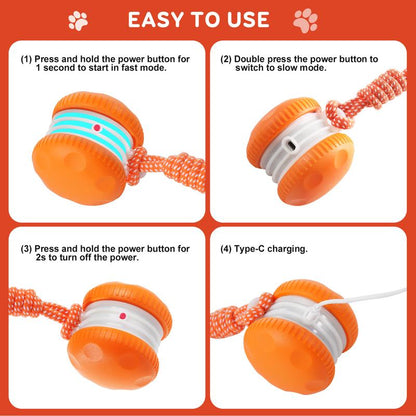 🐶 The Smart Interactive Ball That Keeps Dogs & Cats Busy for Hours 🐱