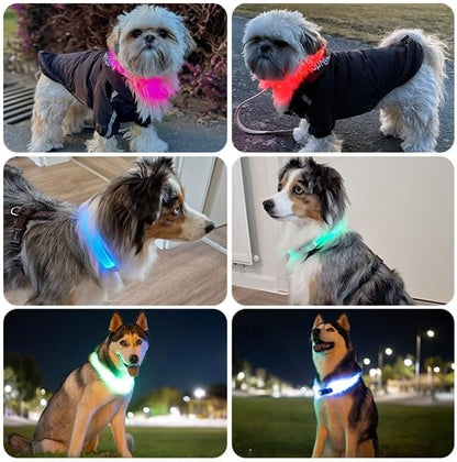 PAJ GPS – PAJ Light – Glowing LED Collar for Dogs