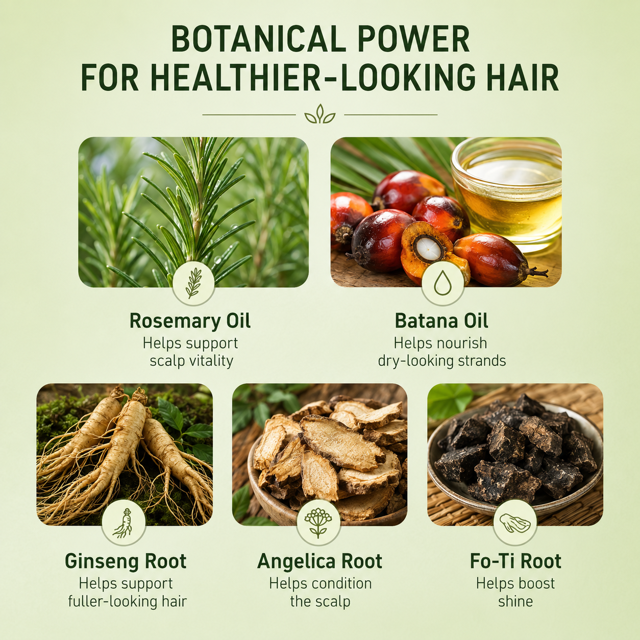Rosemary & Batana Scalp Serum Roll-On – Daily Hair & Scalp Support for Fuller-Looking Hair