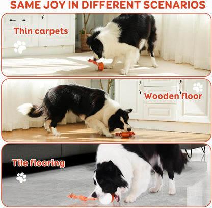 🐶 The Smart Interactive Ball That Keeps Dogs & Cats Busy for Hours 🐱