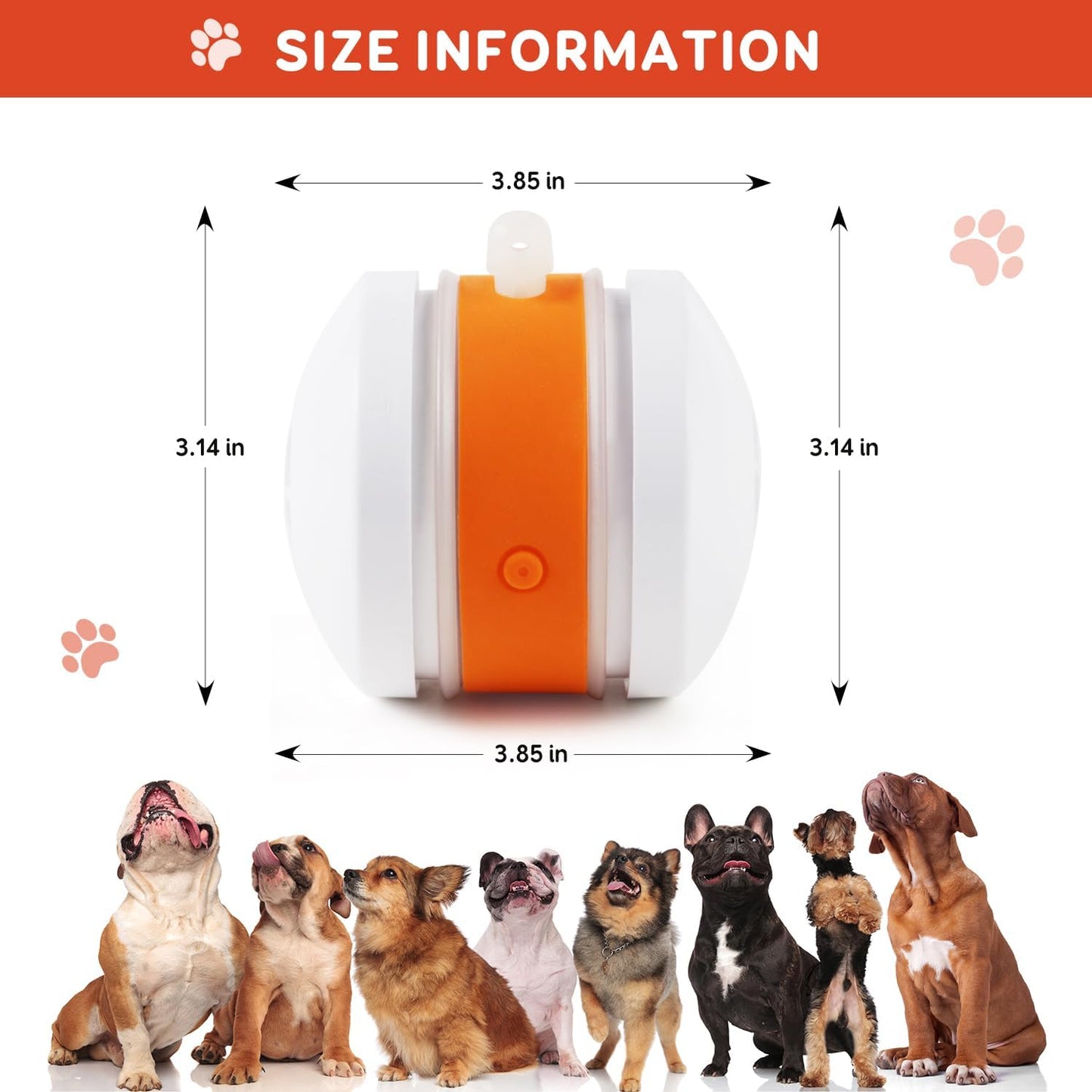 🐶 The Smart Interactive Ball That Keeps Dogs & Cats Busy for Hours 🐱
