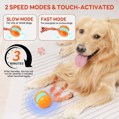 🐶 The Smart Interactive Ball That Keeps Dogs & Cats Busy for Hours 🐱