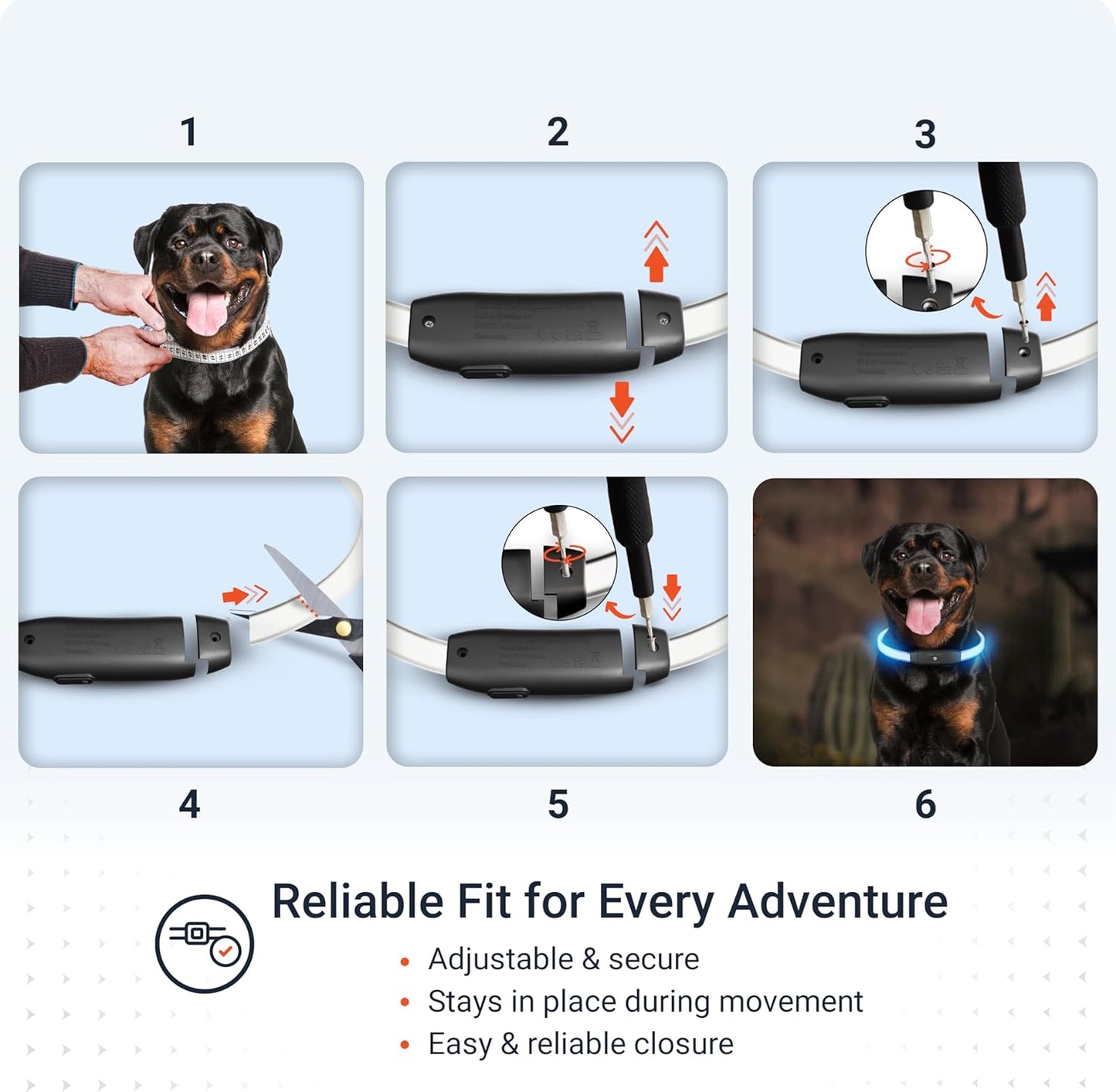 PAJ GPS – PAJ Light – Glowing LED Collar for Dogs