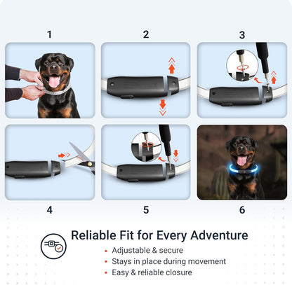PAJ GPS – PAJ Light – Glowing LED Collar for Dogs