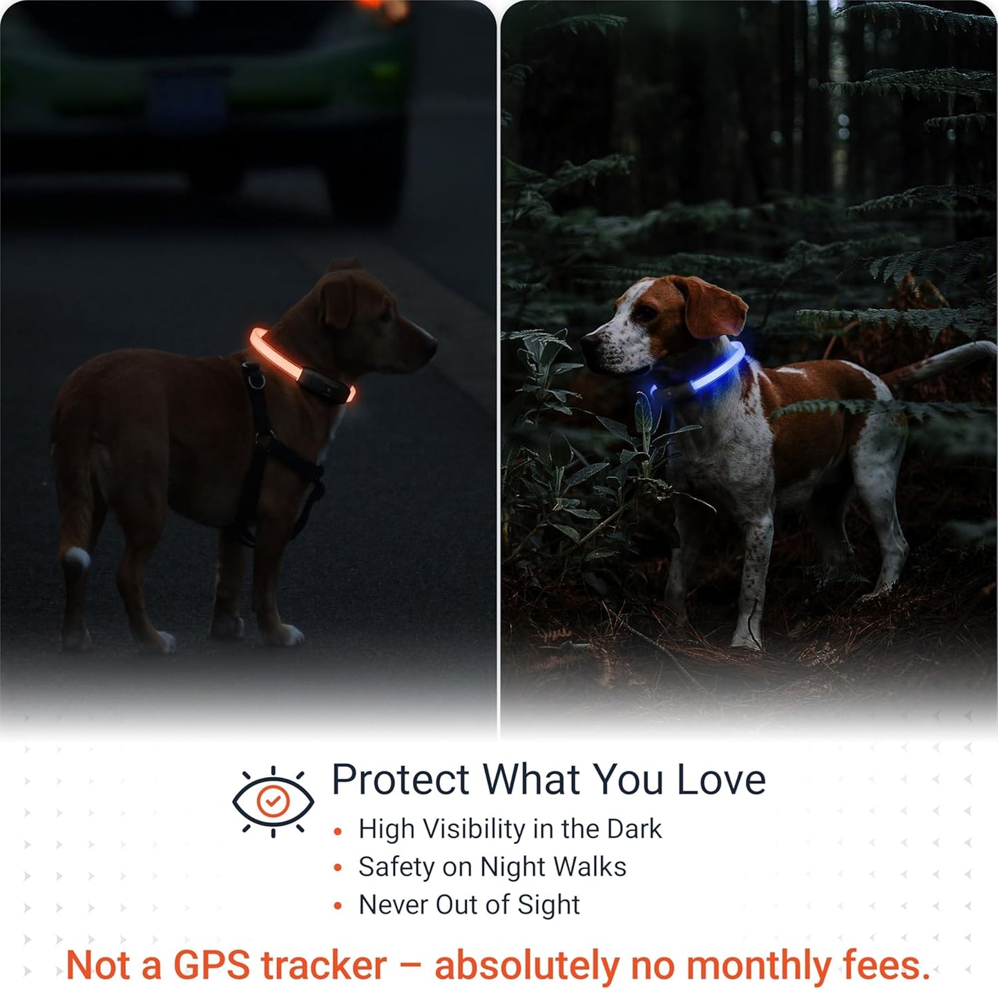 PAJ GPS – PAJ Light – Glowing LED Collar for Dogs
