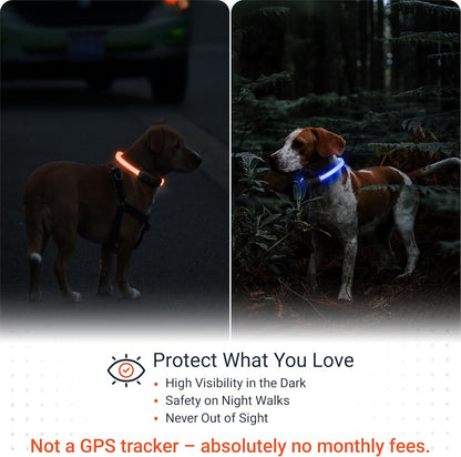 PAJ GPS – PAJ Light – Glowing LED Collar for Dogs