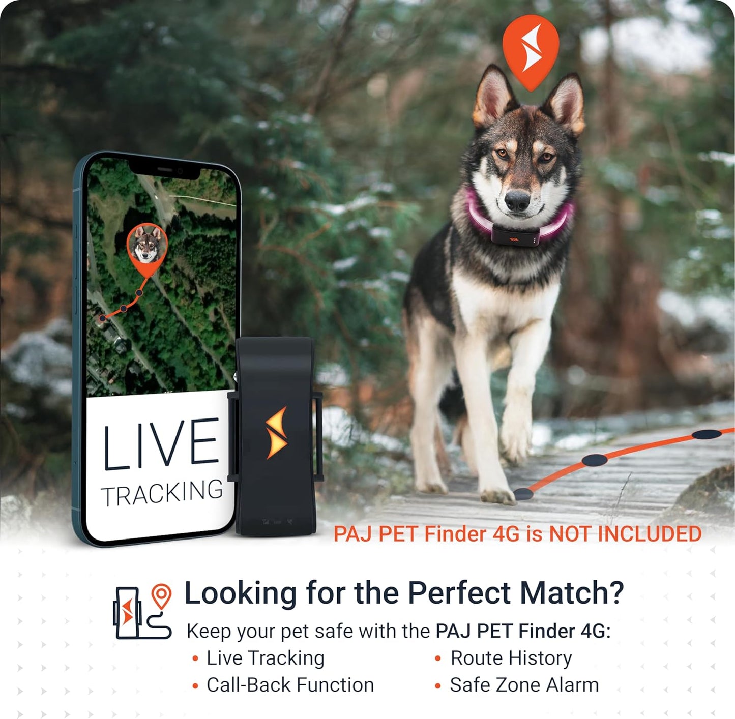 PAJ GPS – PAJ Light – Glowing LED Collar for Dogs