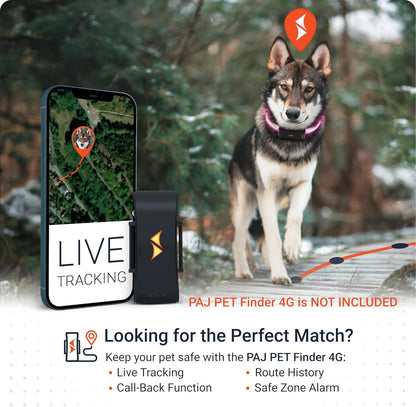 PAJ GPS – PAJ Light – Glowing LED Collar for Dogs