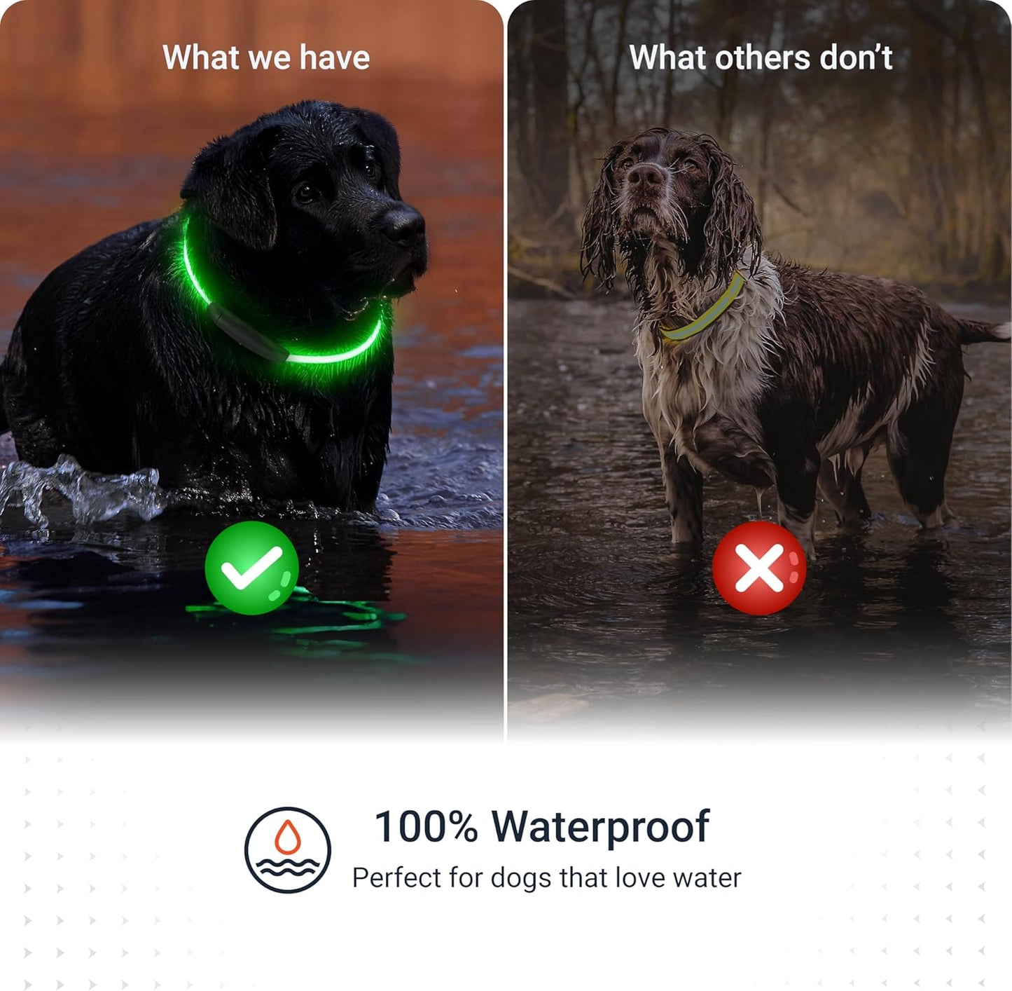 PAJ GPS – PAJ Light – Glowing LED Collar for Dogs