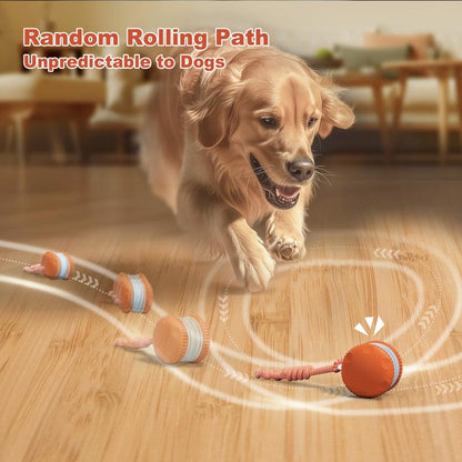 🐶 The Smart Interactive Ball That Keeps Dogs & Cats Busy for Hours 🐱