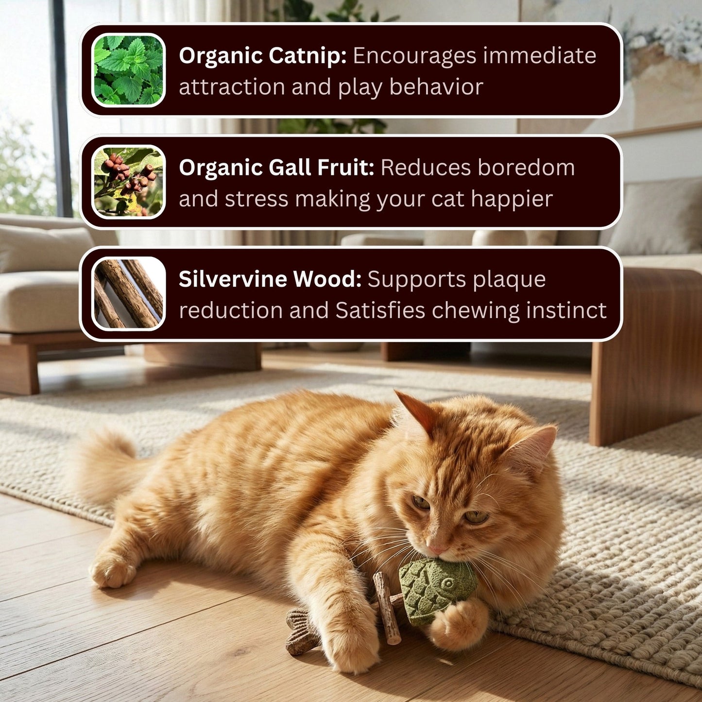 🐱Catnip & Silvervine Che🐟