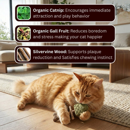 🐱Catnip & Silvervine Che🐟