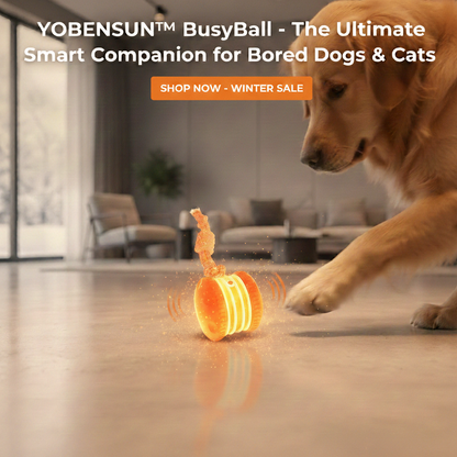 🐶 The Smart Interactive Ball That Keeps Dogs & Cats Busy for Hours 🐱