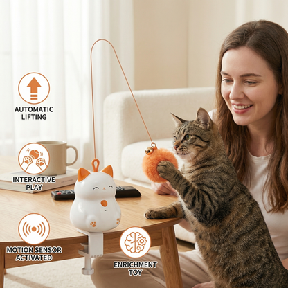 Automatic Cat Play Ball with Lifting Motion