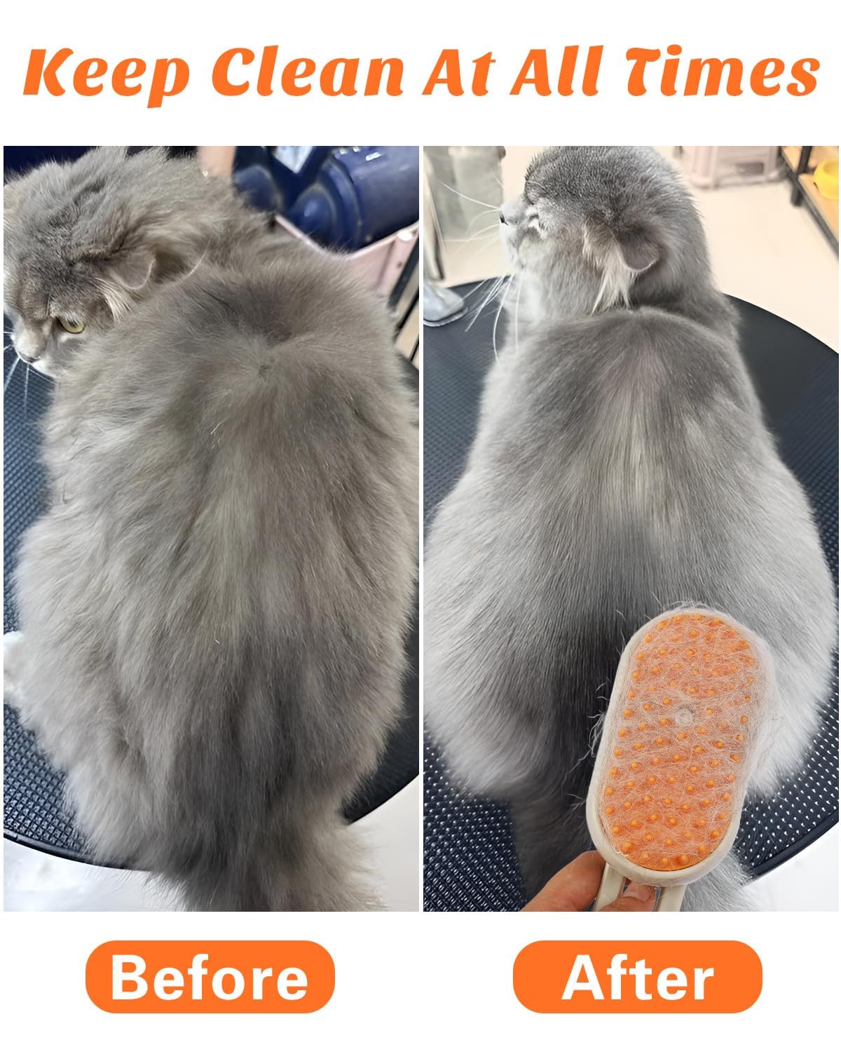 Pet Steam Brush