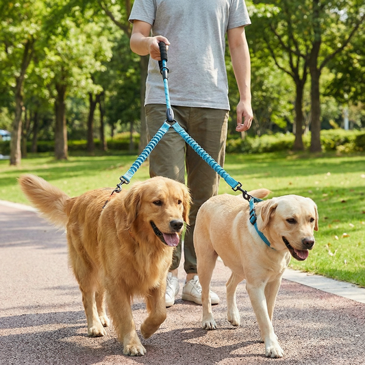 2-in-1 Double Dog Lead with 360° Swivel